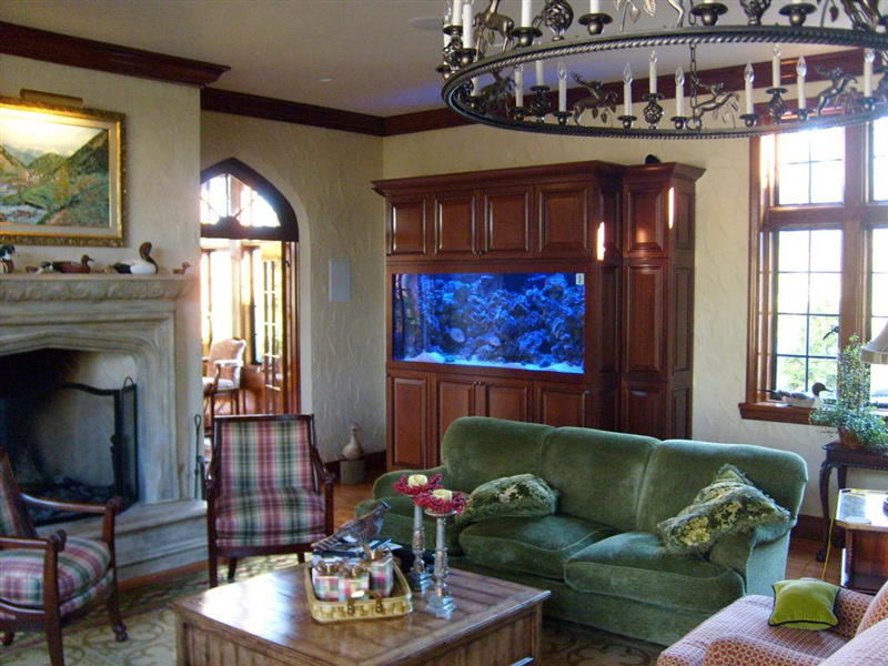 Large View Inside Saltwater Island