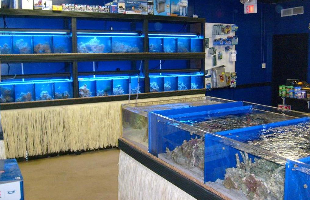 Large View Inside Saltwater Island